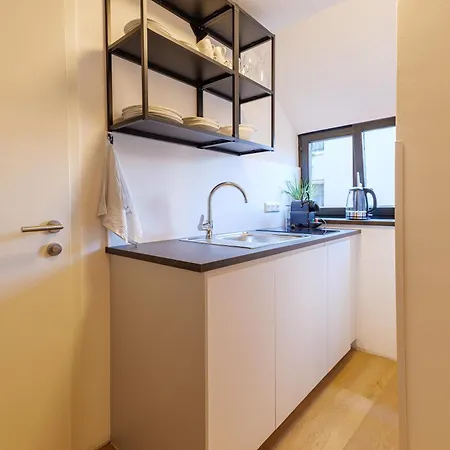 Flataid Cityapart Geidorf 4* 格拉茨