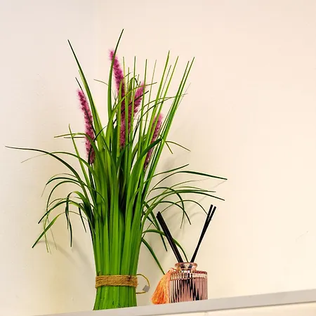 Flataid Cityapart Geidorf Aparthotel