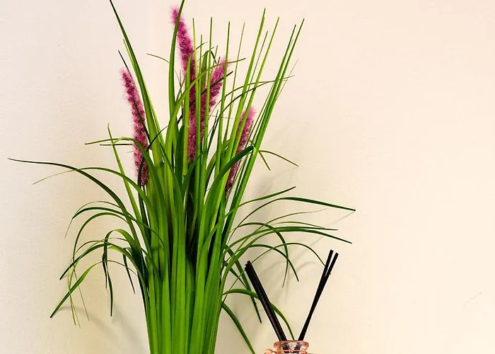 Flataid Cityapart Geidorf Lejlighedshotel